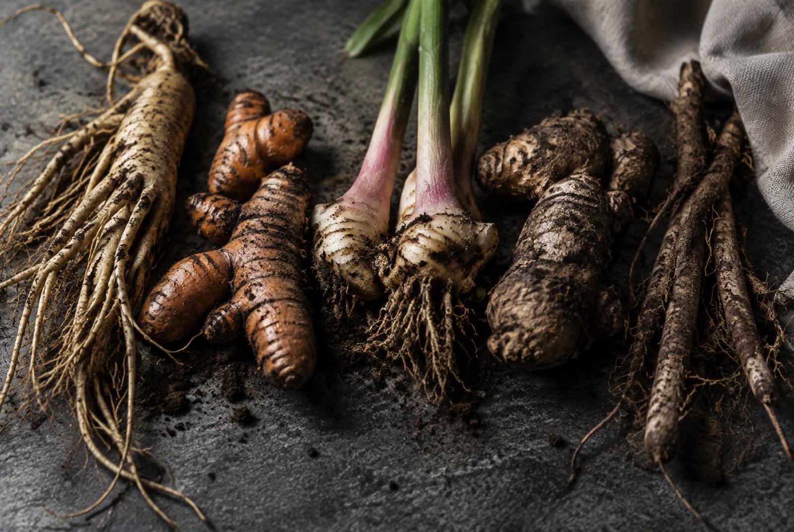 Washed roots and rhizomes of several herbs laid in a row on dark stone, soil still in their grain.