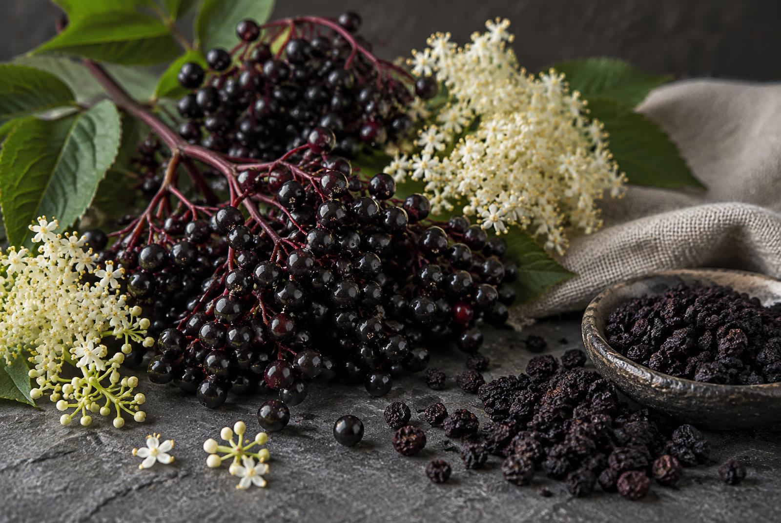 Clusters of purple-black elderberries on red stems with creamy elderflower umbels, beside a dish of dried berries.